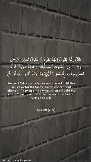 Al-Baqara Ayah 71 - Arabic + English wallpaper