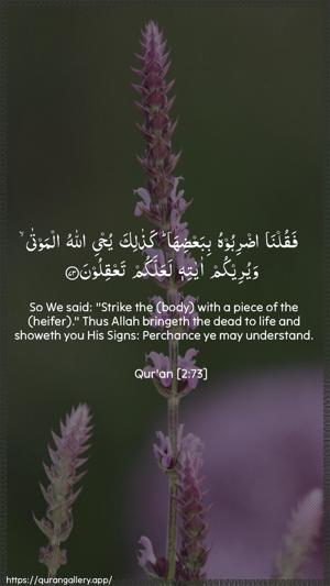 Al-Baqara Ayah 73 - Arabic + English wallpaper