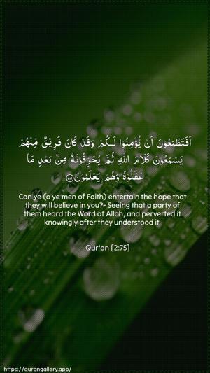 Al-Baqara Ayah 75 - Arabic + English wallpaper