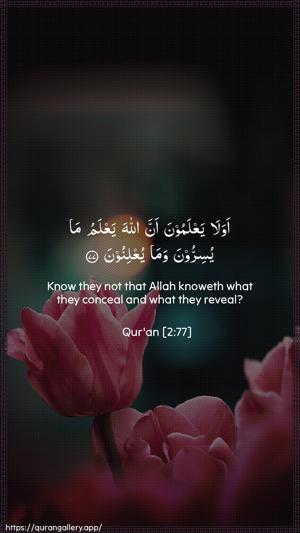 Al-Baqara Ayah 77 - Arabic + English wallpaper