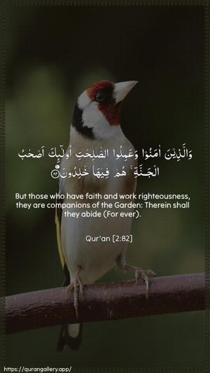 Al-Baqara Ayah 82 - Arabic + English wallpaper