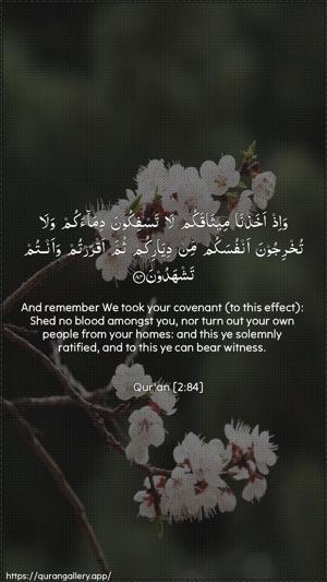 Al-Baqara Ayah 84 - Arabic + English wallpaper