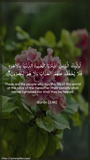Al-Baqara Ayah 86 - Arabic + English wallpaper