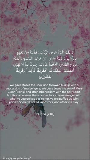 Al-Baqara Ayah 87 - Arabic + English wallpaper