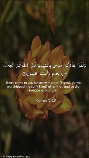 Al-Baqara Ayah 92 - Arabic + English wallpaper