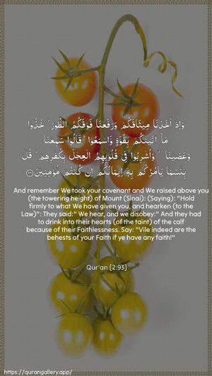 Al-Baqara Ayah 93 - Arabic + English wallpaper