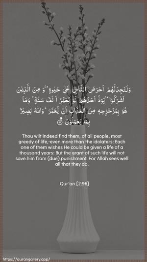 Al-Baqara Ayah 96 - Arabic + English wallpaper