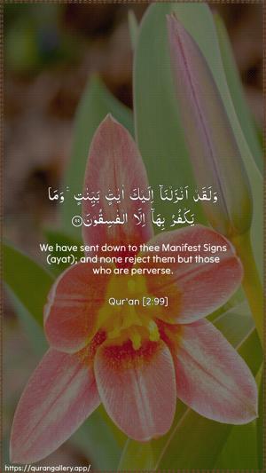 Al-Baqara Ayah 99 - Arabic + English wallpaper