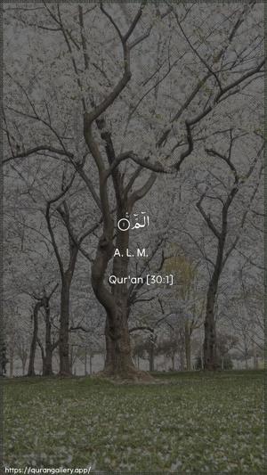 Ar-Room Ayah 1 - Arabic + English wallpaper