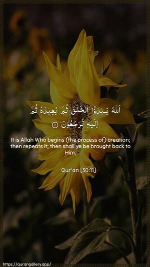 Ar-Room Ayah 11 - Arabic + English wallpaper