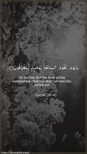 Ar-Room Ayah 14 - Arabic + English wallpaper