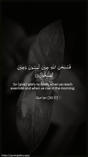 Ar-Room Ayah 17 - Arabic + English wallpaper