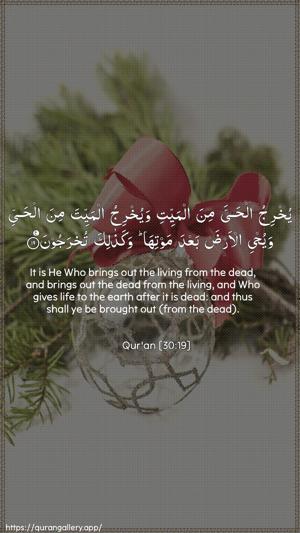 Ar-Room Ayah 19 - Arabic + English wallpaper