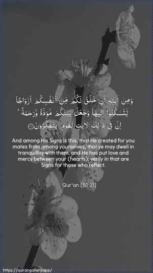 Ar-Room Ayah 21 - Arabic + English wallpaper