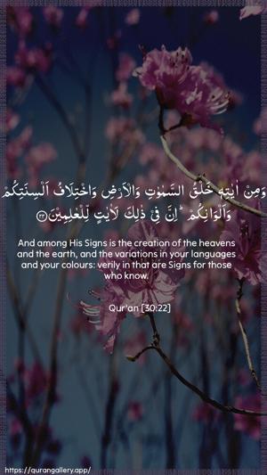 Ar-Room Ayah 22 - Arabic + English wallpaper