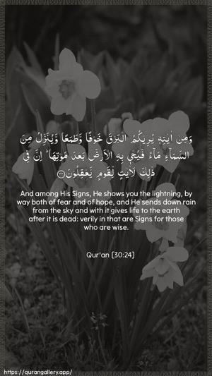 Ar-Room Ayah 24 - Arabic + English wallpaper