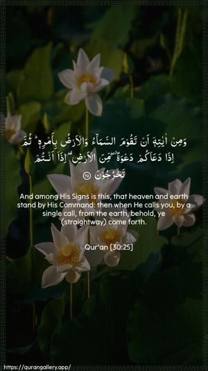 Ar-Room Ayah 25 - Arabic + English wallpaper