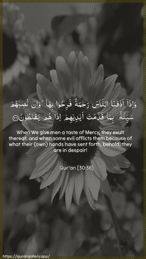 Ar-Room Ayah 36 - Arabic + English wallpaper