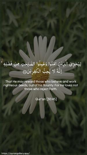 Ar-Room Ayah 45 - Arabic + English wallpaper