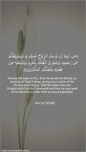 Ar-Room Ayah 46 - Arabic + English wallpaper