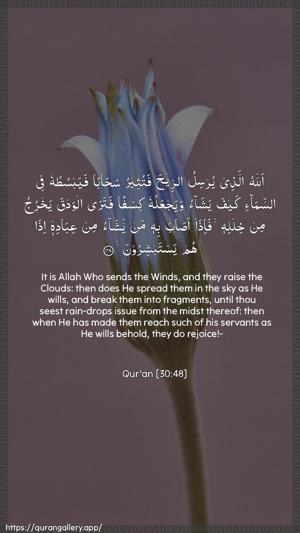 Ar-Room Ayah 48 - Arabic + English wallpaper