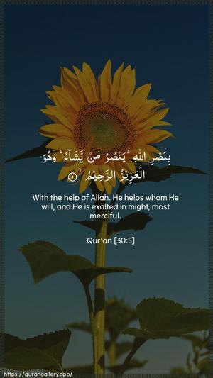 Ar-Room Ayah 5 - Arabic + English wallpaper