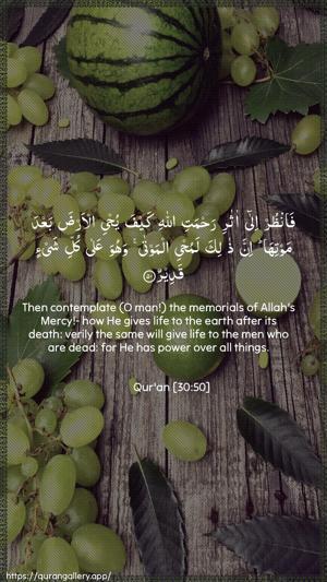 Ar-Room Ayah 50 - Arabic + English wallpaper