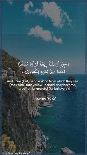 Ar-Room Ayah 51 - Arabic + English wallpaper