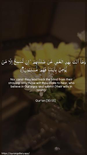 Ar-Room Ayah 53 - Arabic + English wallpaper
