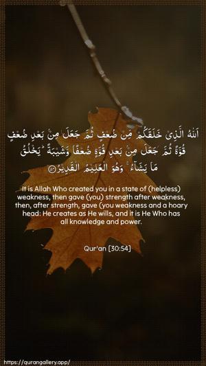 Ar-Room Ayah 54 - Arabic + English wallpaper
