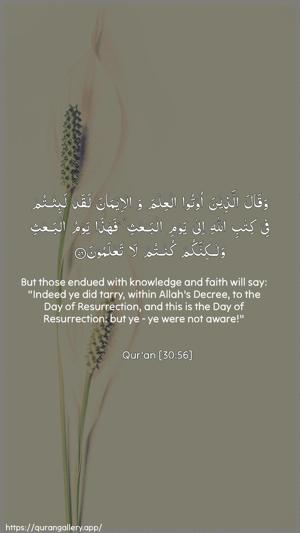 Ar-Room Ayah 56 - Arabic + English wallpaper