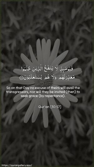 Ar-Room Ayah 57 - Arabic + English wallpaper