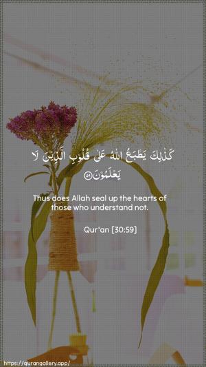 Ar-Room Ayah 59 - Arabic + English wallpaper