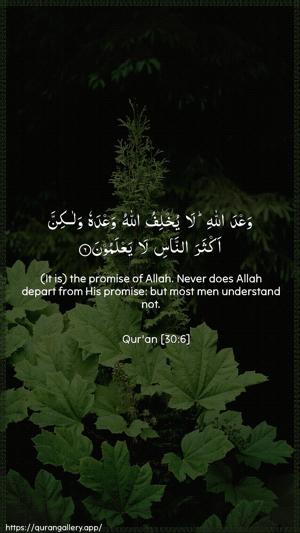 Ar-Room Ayah 6 - Arabic + English wallpaper