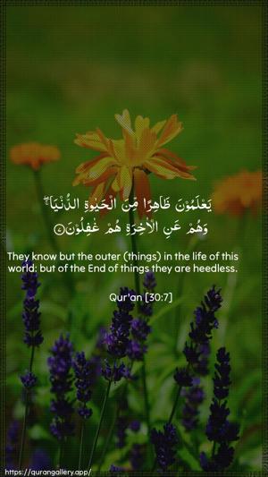 Ar-Room Ayah 7 - Arabic + English wallpaper
