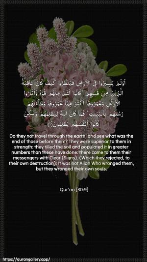 Ar-Room Ayah 9 - Arabic + English wallpaper