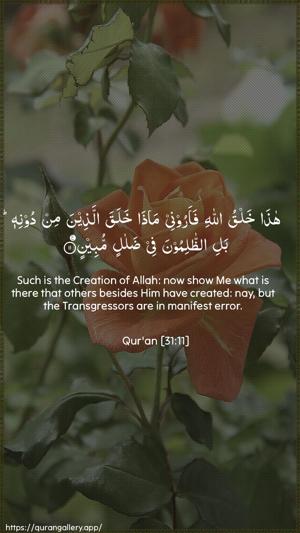 Luqman Ayah 11 - Arabic + English wallpaper