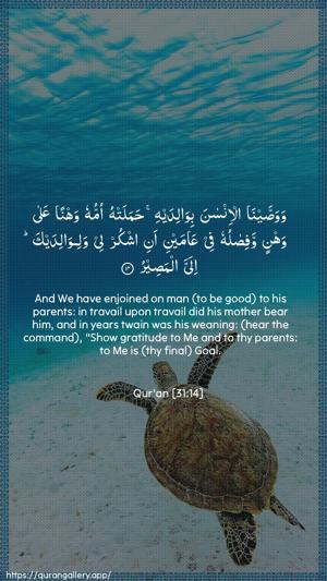 Luqman Ayah 14 - Arabic + English wallpaper