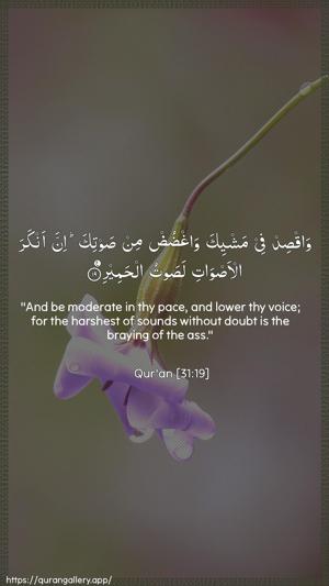 Luqman Ayah 19 - Arabic + English wallpaper