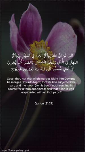 Luqman Ayah 29 - Arabic + English wallpaper