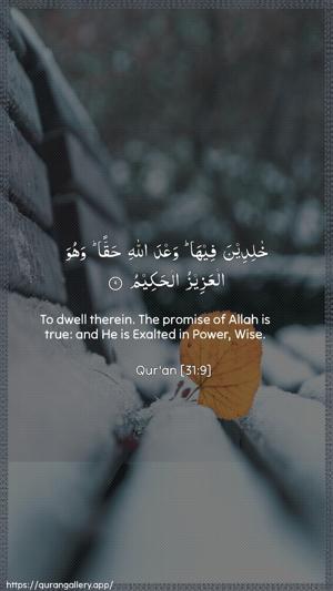 Luqman Ayah 9 - Arabic + English wallpaper