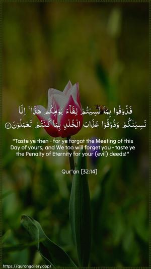As-Sajda Ayah 14 - Arabic + English wallpaper