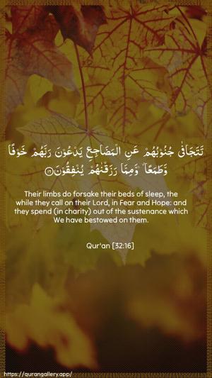 As-Sajda Ayah 16 - Arabic + English wallpaper