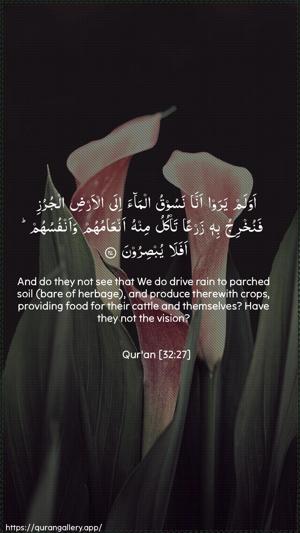 As-Sajda Ayah 27 - Arabic + English wallpaper