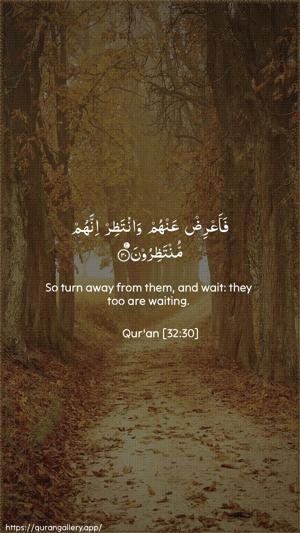 As-Sajda Ayah 30 - Arabic + English wallpaper