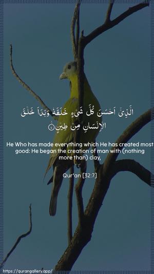 As-Sajda Ayah 7 - Arabic + English wallpaper