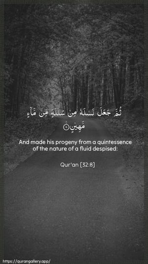 As-Sajda Ayah 8 - Arabic + English wallpaper