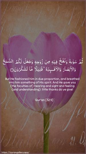 As-Sajda Ayah 9 - Arabic + English wallpaper