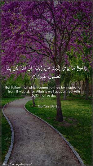 Al-Ahzaab Ayah 2 - Arabic + English wallpaper