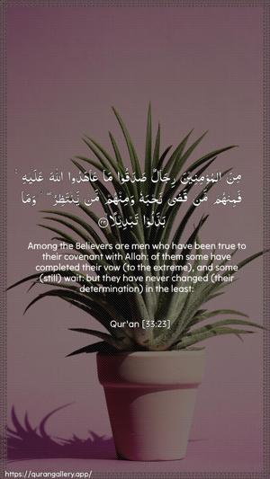 Al-Ahzaab Ayah 23 - Arabic + English wallpaper